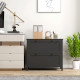 2 Drawer File Cabinet, Lockable Filing Cabinet with Adjustable Hanging Bar for Letter, A4 and Legal Size, Black