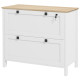 2 Drawer File Cabinet, Lockable Filing Cabinet with Adjustable Hanging Bar for Letter, A4 and Legal Size, White