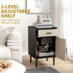 Boho Bedside Tables Set of 2, Nightstands with Drawer, Rattan Cabinet, Adjustable Shelf for Bedroom, Living Room, Black