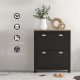 Small Shoe Cabinet with 2 Flip Drawers and Adjustable Shelves, 12 Pair Shoe Storage Organizer for Hallway, Black