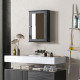 Bathroom Mirror Cabinet, Wall Mounted Medicine Cabinet with Door and Shelves, Black