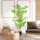 Artificial Bamboo Tree, 5ft Fake Tree with Realistic Leaf and Natural Trunk, Decorative Plant in Nursery