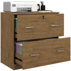 2 Drawer File Cabinet with Lock, Office Filing Cabinet, Hanging Bar for Letter Size, Home Office, Light Brown