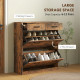 Narrow Shoe Storage with 2 Flip Drawers and Adjustable Shelves Shoe Organizer Cabinet for 12 Pairs of Shoes, Brown