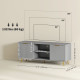 TV Stand with Storage for 55 Inch TV, Modern TV Cabinet with 2 Open Shelves and 2 Cabinets for Living Room, Grey