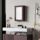 Bathroom Mirror Cabinet, Wall Mounted Medicine Cabinet with Door and Shelves, Dark Brown