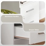 Computer Desk with Storage, 39