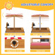 Kids Sandbox with Cover Kitchen Playset Toys, Wooden Sand Box with Seat, Storage, for 3-7 Years Old, Red