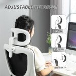 High Back Office Chair, Mesh Computer Desk Chair with Rotatable Headrest, Lumbar Back Support, Adjustable Height, Black