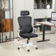 High Back Office Chair, Mesh Computer Desk Chair with Rotatable Headrest, Lumbar Back Support, Adjustable Height, Black