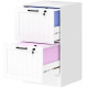 2 Drawer Filing Cabinet with Lock, Office Storage Cabinet with Adjustable Hanging Bars for A4 Letter Size Files, White