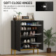 Shoe Storage Cabinet with Adjustable Shelves and Soft-Close Hinges, for 15-20 Pairs of Shoes, Black