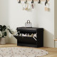 Shoe Storage with Seat, Upholstered Hallway Bench, Shoe Bench with Flip Drawer, Adjustable Shelf for 6 Pairs of Shoes