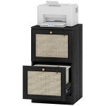 2 Drawer Filing Cabinet with Lock, Boho File Cabinet for A4 Letter Size Files with Decorative Rattan Accents, Black