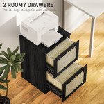 2 Drawer Filing Cabinet with Lock, Boho File Cabinet for A4 Letter Size Files with Decorative Rattan Accents, Black