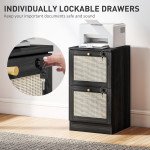 2 Drawer Filing Cabinet with Lock, Boho File Cabinet for A4 Letter Size Files with Decorative Rattan Accents, Black