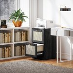 2 Drawer Filing Cabinet with Lock, Boho File Cabinet for A4 Letter Size Files with Decorative Rattan Accents, Black