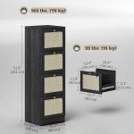 4 Drawer Filing Cabinet with Lock, Boho File Cabinet for A4 Letter Size Files with Decorative Rattan Accents, Black