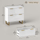 Lateral File Cabinet with 2 Drawers, Modern Filing Cabinet for Letter/A4/Legal Size Files, High Gloss White