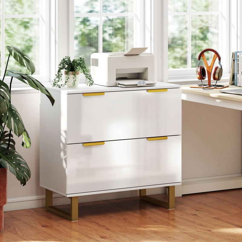 Lateral File Cabinet with 2 Drawers, Modern Filing Cabinet for Letter/A4/Legal Size Files, High Gloss White