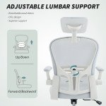 Office Chair, Mesh Computer Desk Chair with Adjustable Headrest, 4D Lumbar Support, Flip-up Arm, White