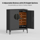 Office Storage Cabinet with Lock, Filing Cabinet with Adjustable Shelves and Doors for Home Office, Garage, Black