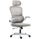 Mesh Office Chair, Ergonomic Desk Chair with Flip-up Armrest, Rotatable Headrest, Adjustable Lumbar Support, Grey