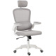 Ergonomic Mesh Office Chair, High Back Desk Chair with Rotatable Headrest, Flip-Up Armrests, Lumbar Support, Grey