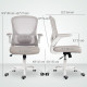 Ergonomic Mesh Office Chair with 4D Lumbar Support, Swivel Desk Chair with Flip-up Armrests, Tilt Function, Grey