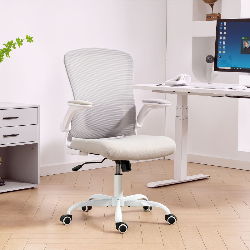 Ergonomic Mesh Office Chair with 4D Lumbar Support, Swivel Desk Chair with Flip-up Armrests, Tilt Function, Grey