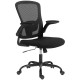 Ergonomic Mesh Office Chair with 4D Lumbar Support, Swivel Desk Chair with Flip-up Armrests, Tilt Function, Black