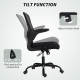 Ergonomic Mesh Office Chair with 4D Lumbar Support, Swivel Desk Chair with Flip-up Armrests, Tilt Function, Black