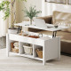 Lift Top Coffee Table, Modern Center Table with Storage Shelves and Hidden Compartment for Living Room, 41