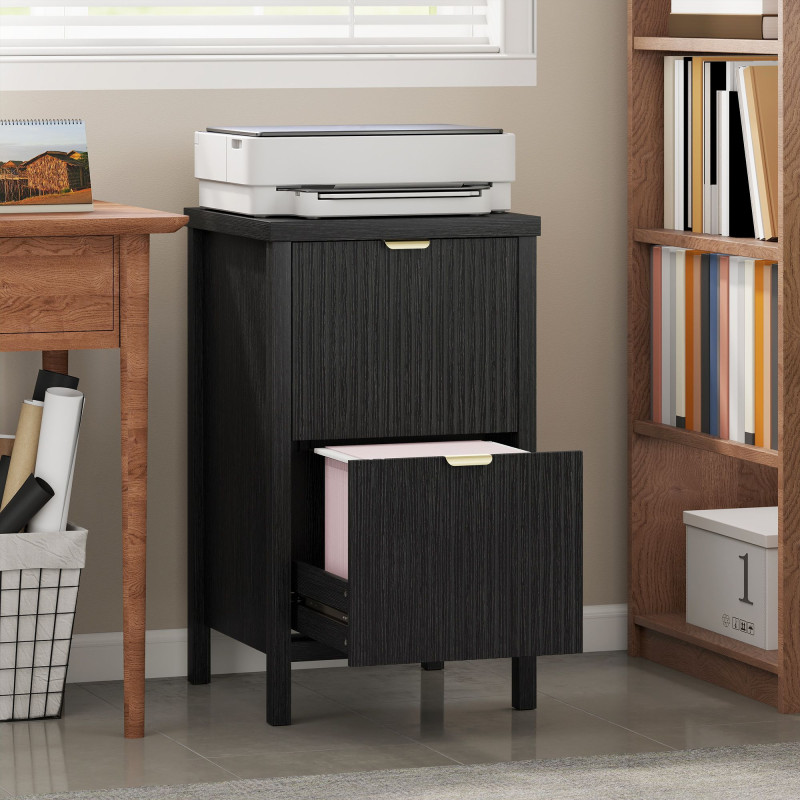 2 Drawer File Cabinet with Silent Slides, Vertical Modern Filing Cabinet Fits Letter/A4 Size Home Office, Black