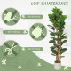 6FT Artificial Fiddle Leaf Fig Tree Set of 2, Fake Potted Tree with Solid Wood Trunks for Indoor Decor, Green