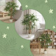 4FT Artificial Banyan Tree Set of 2, Fake Potted Tree with Solid Wood Trunk and Pot for Indoor