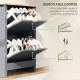 Shoe Storage Cabinet with 2 Flip Drawers and Adjustable Shelves for 12 Pairs of Shoes, Dark Grey