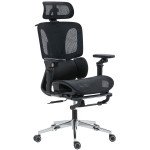 Ergonomic Office Chair, Mesh Computer Chair with High Back, Lumbar Support, 6D Armrests, Headrest, Footrest, Black